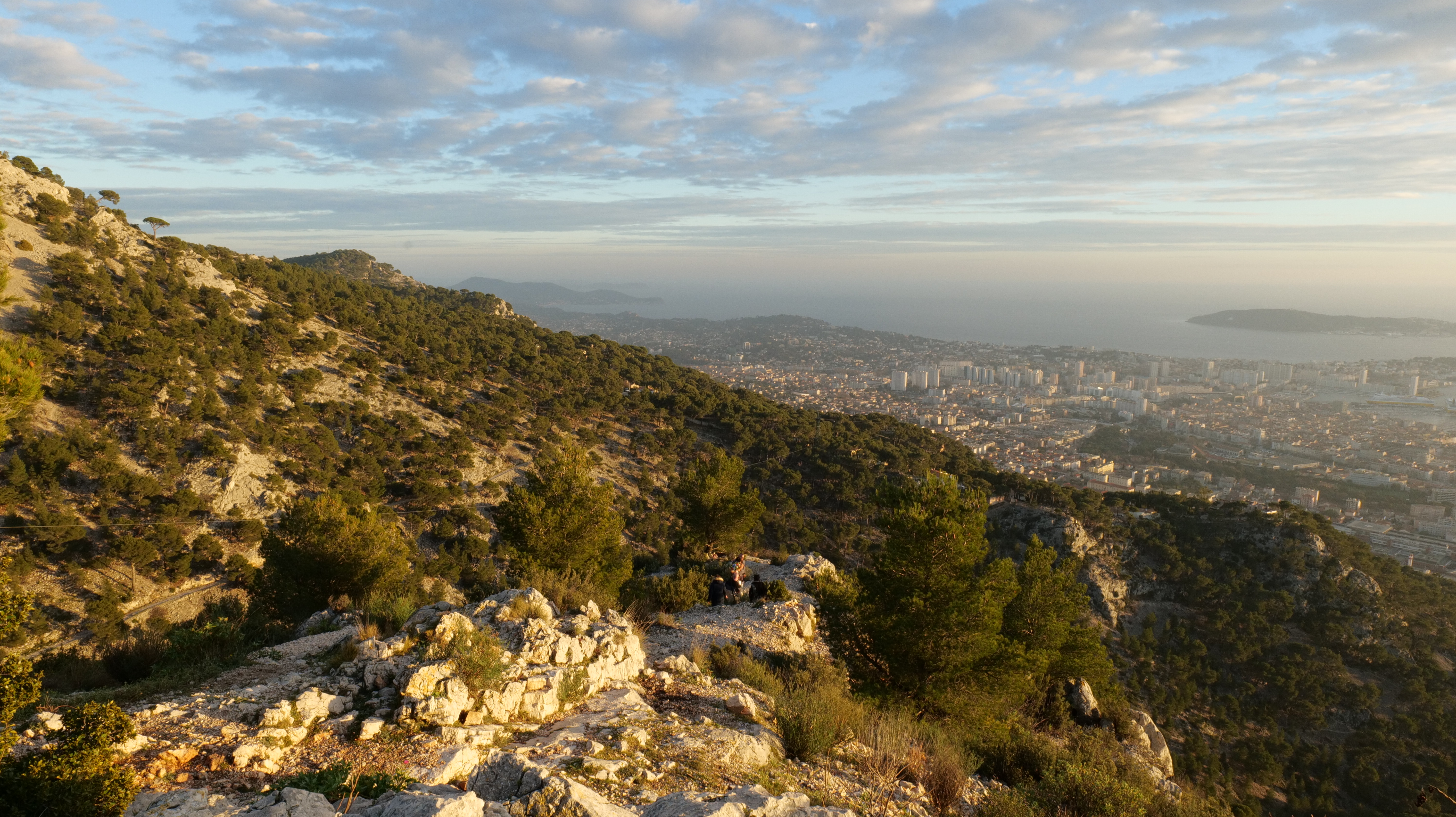 Image de Reportage : La Faune et la Flore du Var