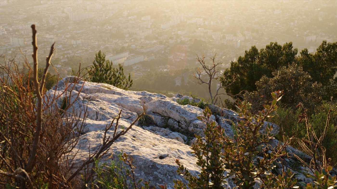 Reportage — La Faune et la Flore du Var